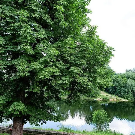 Appartement Haus Seeblick