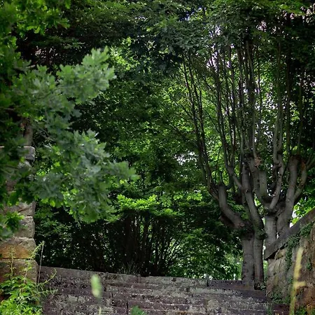 Haus Seeblick Daire *