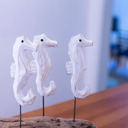 Apartment Haus Seeblick Dippoldiswalde