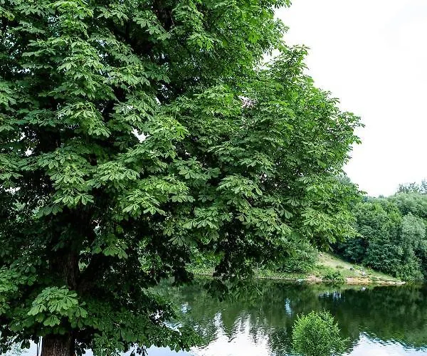 Apartmán Haus Seeblick